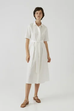 Cotton Button-Down Dress