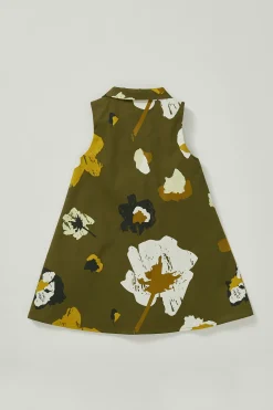 Fieldnotes Collared Dress