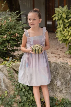 Frame Ruffle Sleeve Dress