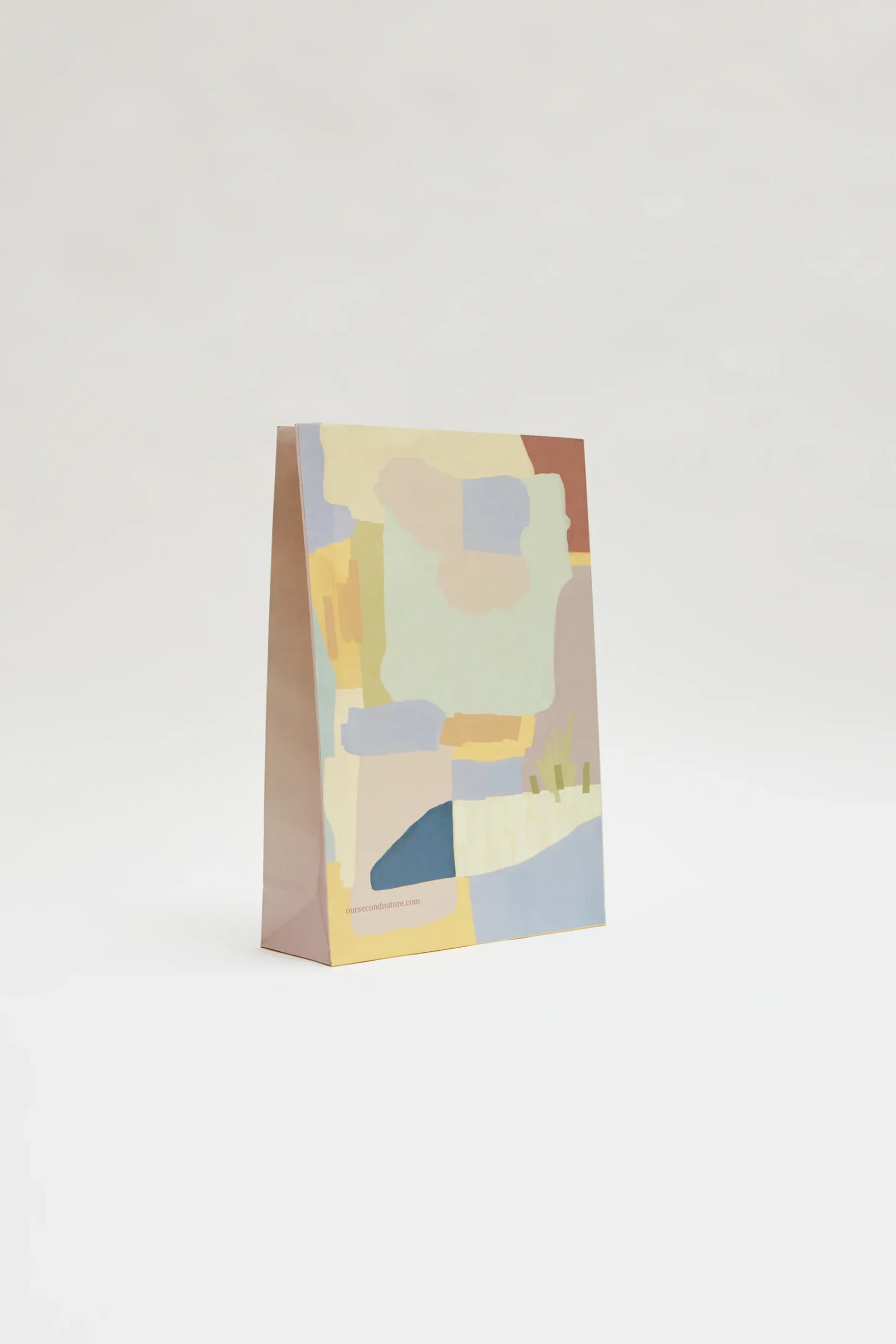 Large Holiday Gift Bag