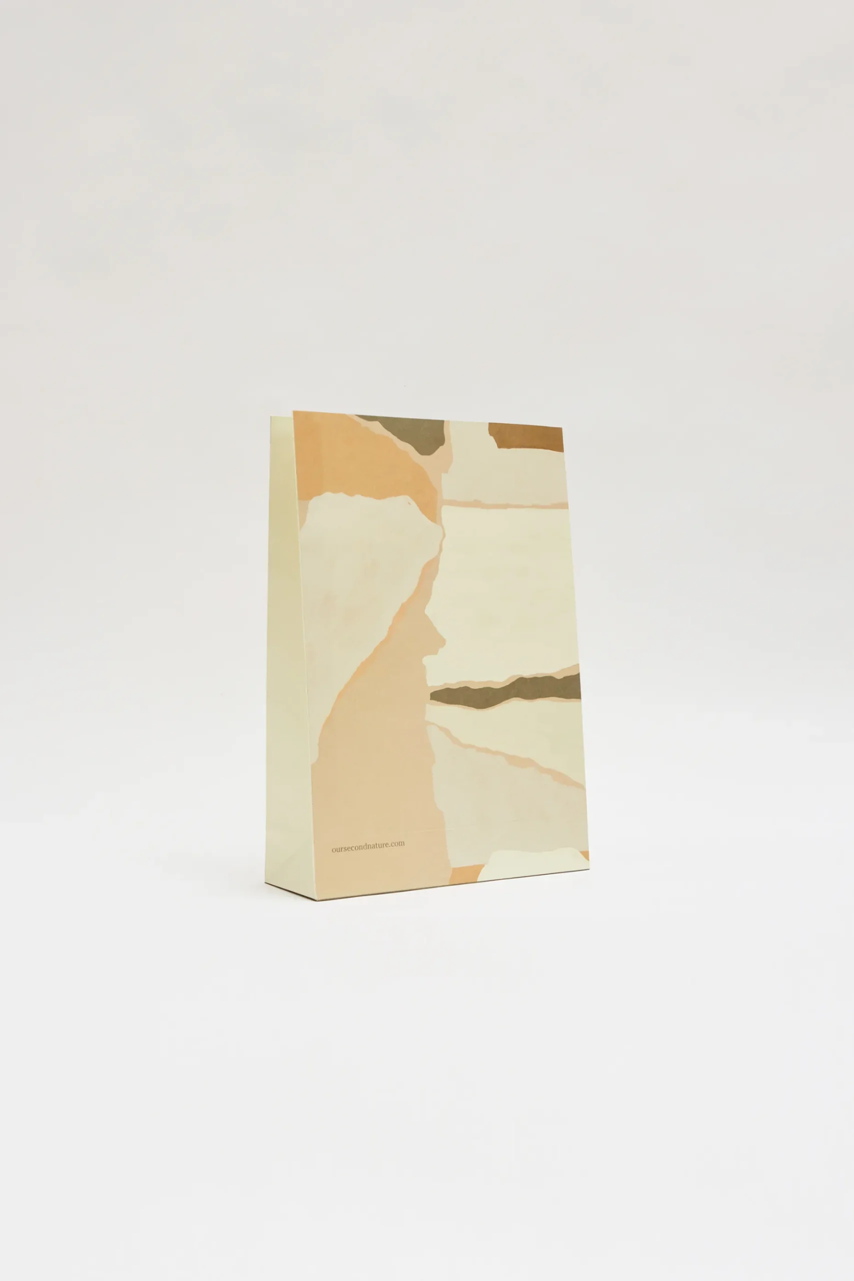 Large Holiday Gift Bag