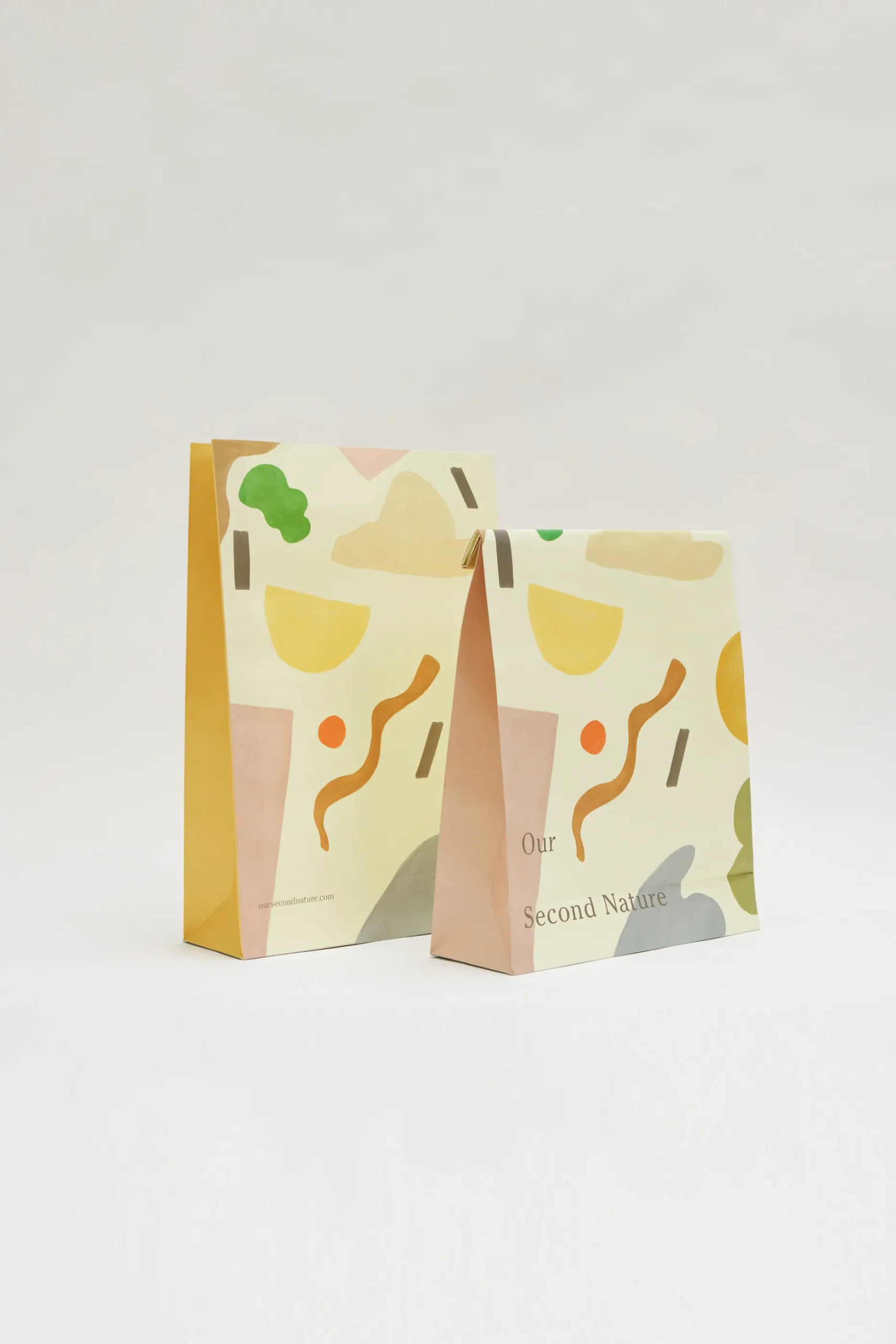 Large Holiday Gift Bag