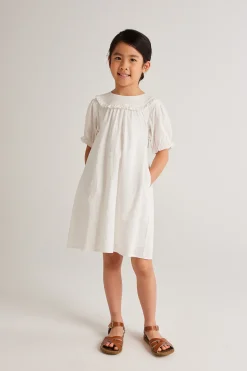 Mini Ruffle Collar Dress