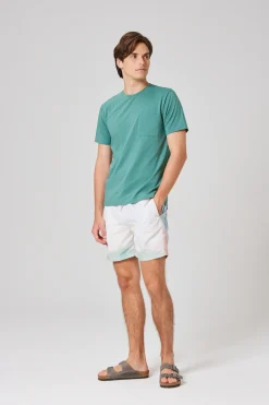 Savour Men's Swim Shorts