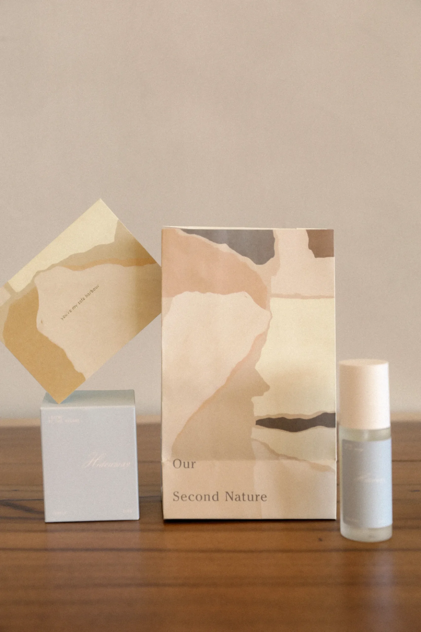 Small Holiday Gift Bag