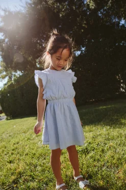 Textured Ruffle Sleeve Dress